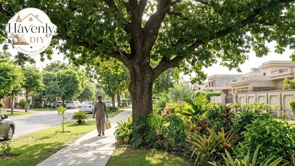 Healthy tree after careful root management